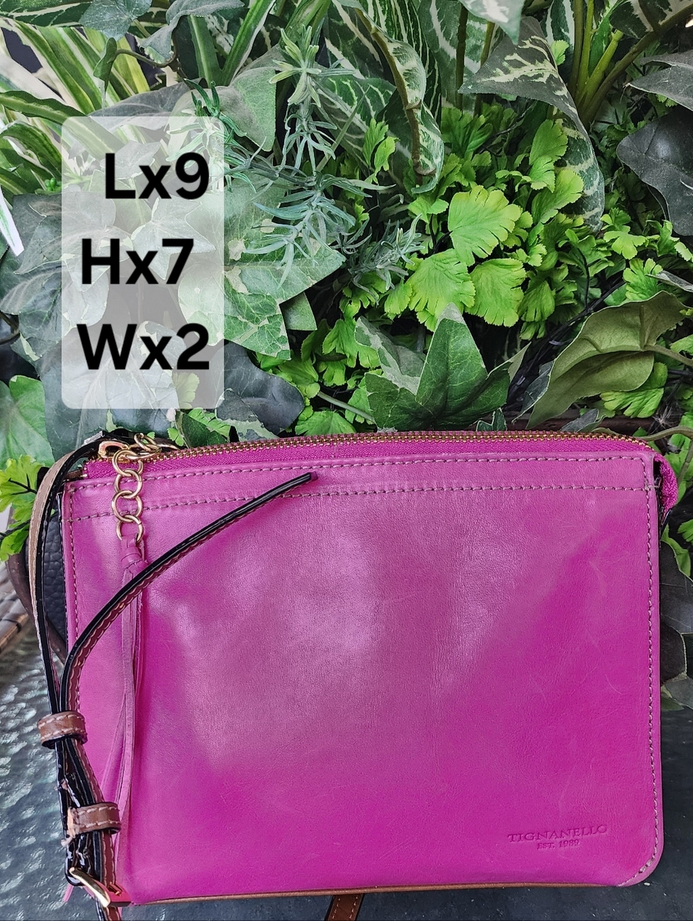 Tignanello Magenta Leather Crossbody with Brown Strap - Picture 3 of 8